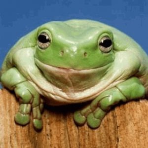 Profile picture for Jerry Fluegel