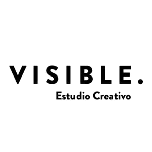 Profile picture for visible studio