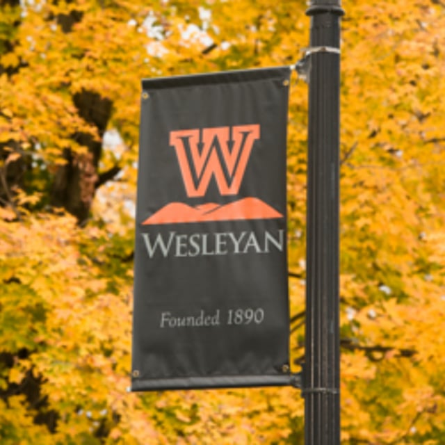 West Virginia Wesleyan Baseball