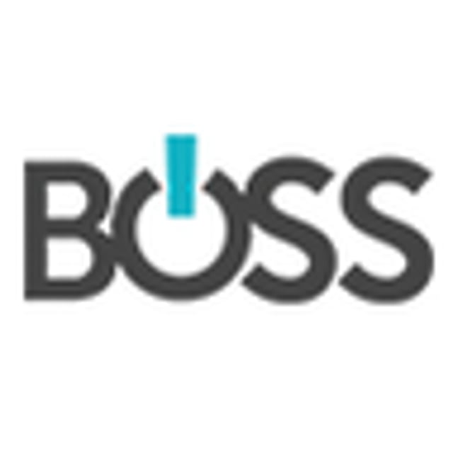 BOSS Controls