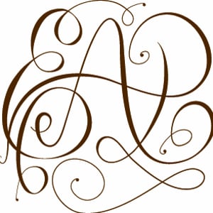 Profile picture for Christine Viola