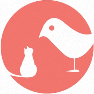 Profile picture for Not To Scale