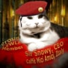 Sir Snowy Projects