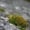 Bione Happyclimb