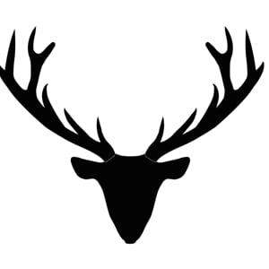 Profile picture for CARA HOLMES