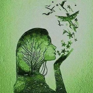 Profile picture for Valeria Borodin