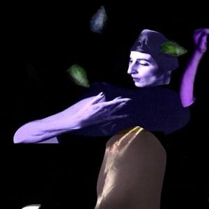 Profile picture for Kathy Rose