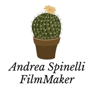 Profile picture for Andrea Spinelli FilmMaker