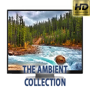 Profile picture for Relaxing Nature HD Videos
