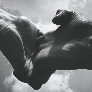 Profile picture for Held Hands