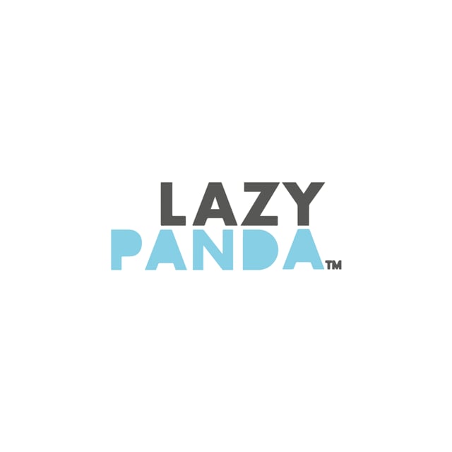 Lazy Panda