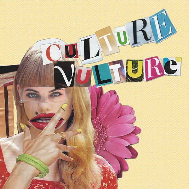 the meaning of culture vulture