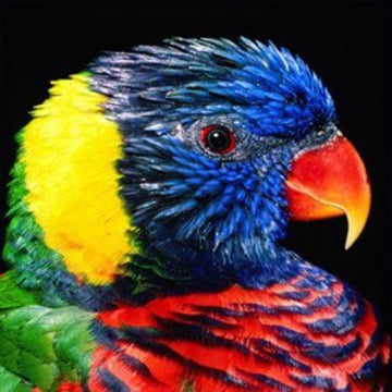 Vimeo profile picture for @num