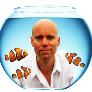 Profile picture for AVAIYA MEDIA