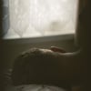 Darkslide