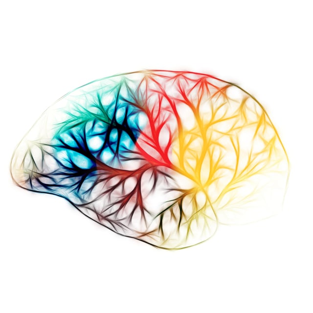 Cerebral Voyage