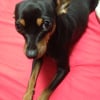 luvlily
