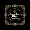 Quantum Flux Vision