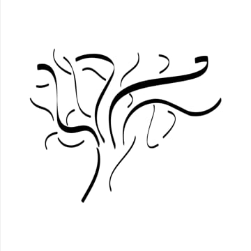Vimeo profile picture for @torah