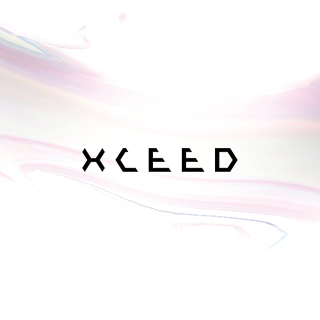 xceed figurine