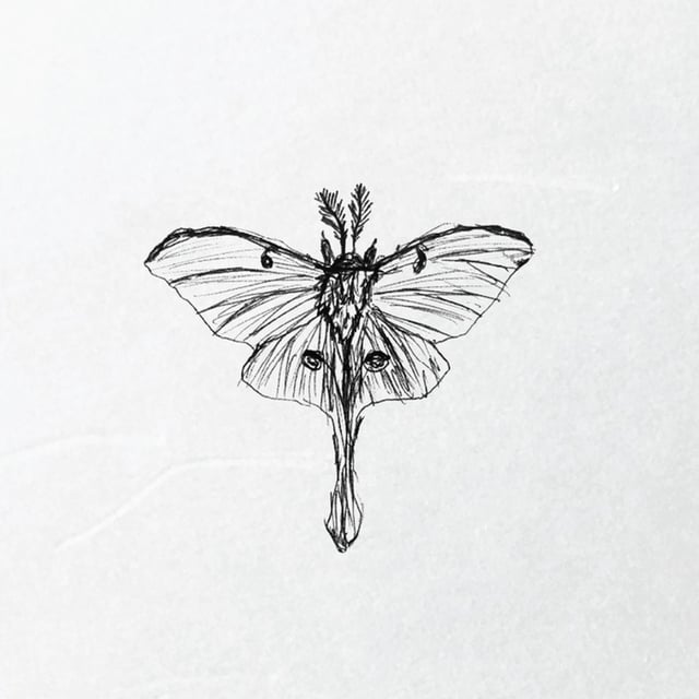 mothling