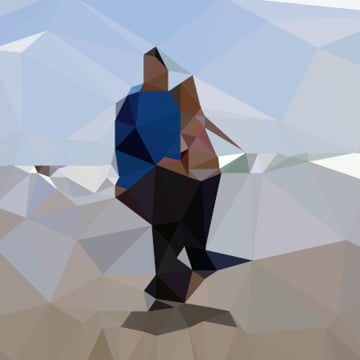 Vimeo profile picture for @metaphorical