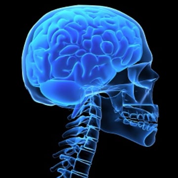 Vimeo profile picture for @concussions