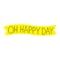 Portrait image for Oh Happy Day
