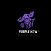 @PurpleKow_Creative_Agency