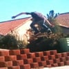 BS3skater
