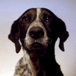 Profile picture for pointpointclick