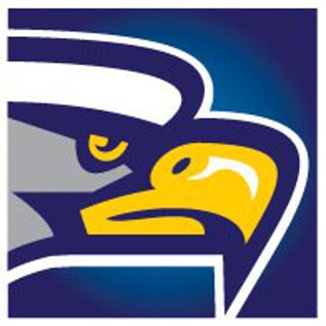 Vimeo profile picture for @sca