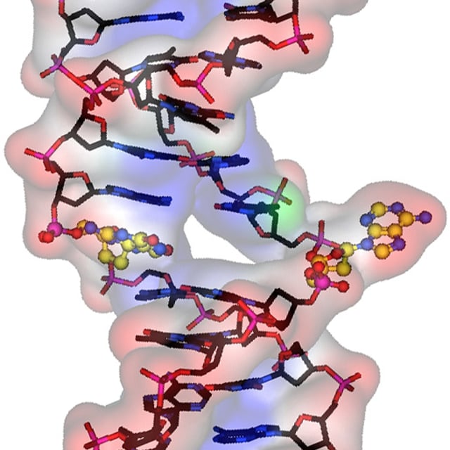 McMaster Chem Bio Grad Program