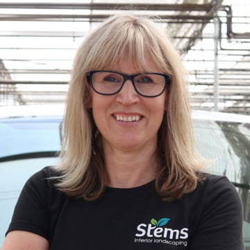 Vimeo profile picture for @stems