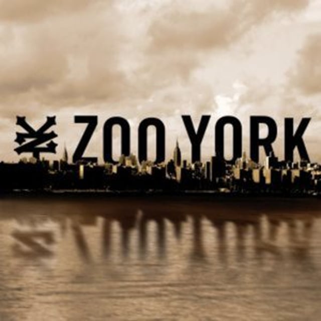 jogger zoo york