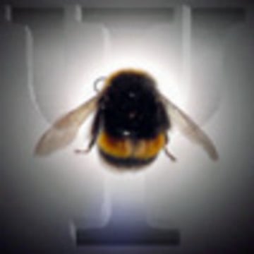 Vimeo profile picture for @siec