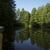 Dockside Studio