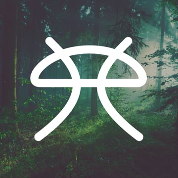 Vimeo profile picture for @fungi