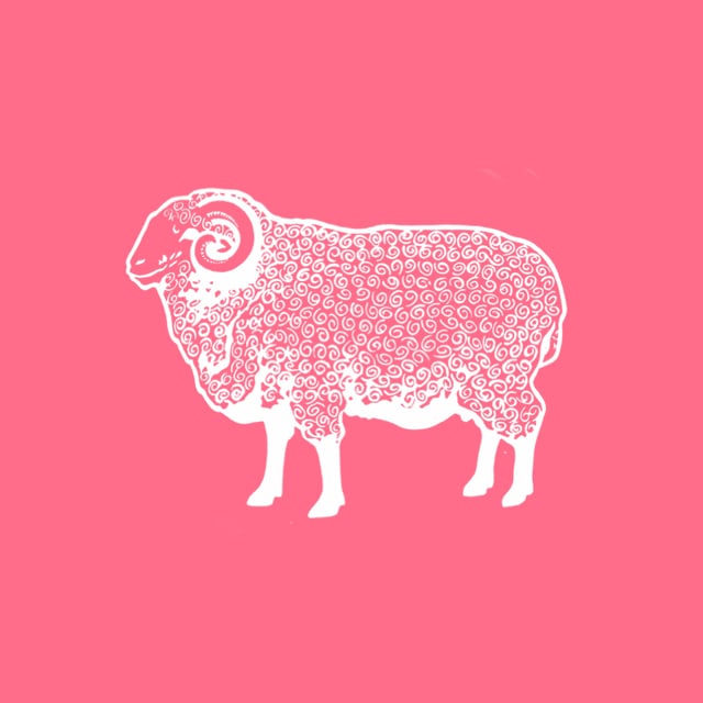 Pink Sheep Think