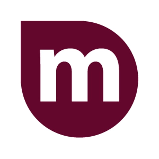 munro and associates net worth