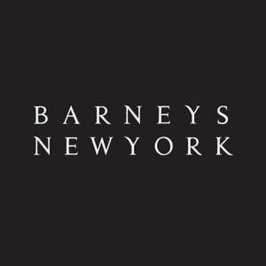 Profile picture for Barneys The Window