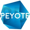 Peyote 3D