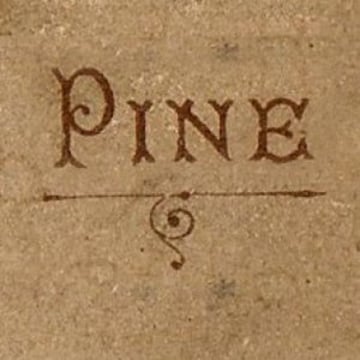 Vimeo profile picture for @pine