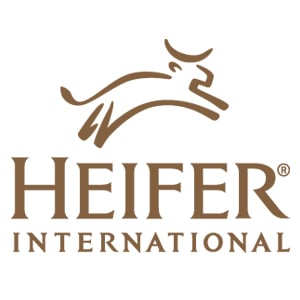 Image result for Heifer International