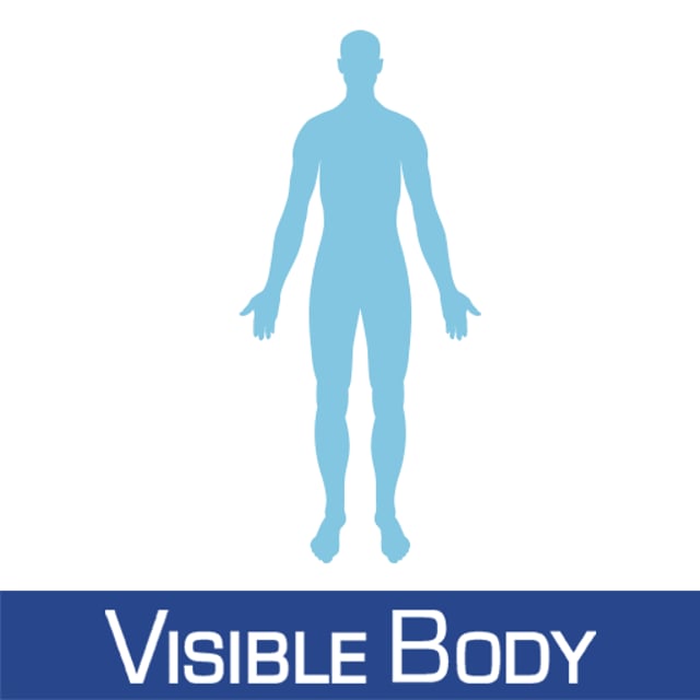 Visible Body