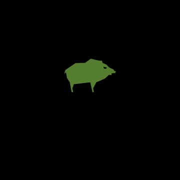 Vimeo profile picture for @boar