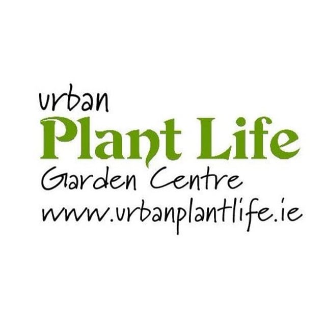 urban-plant-life