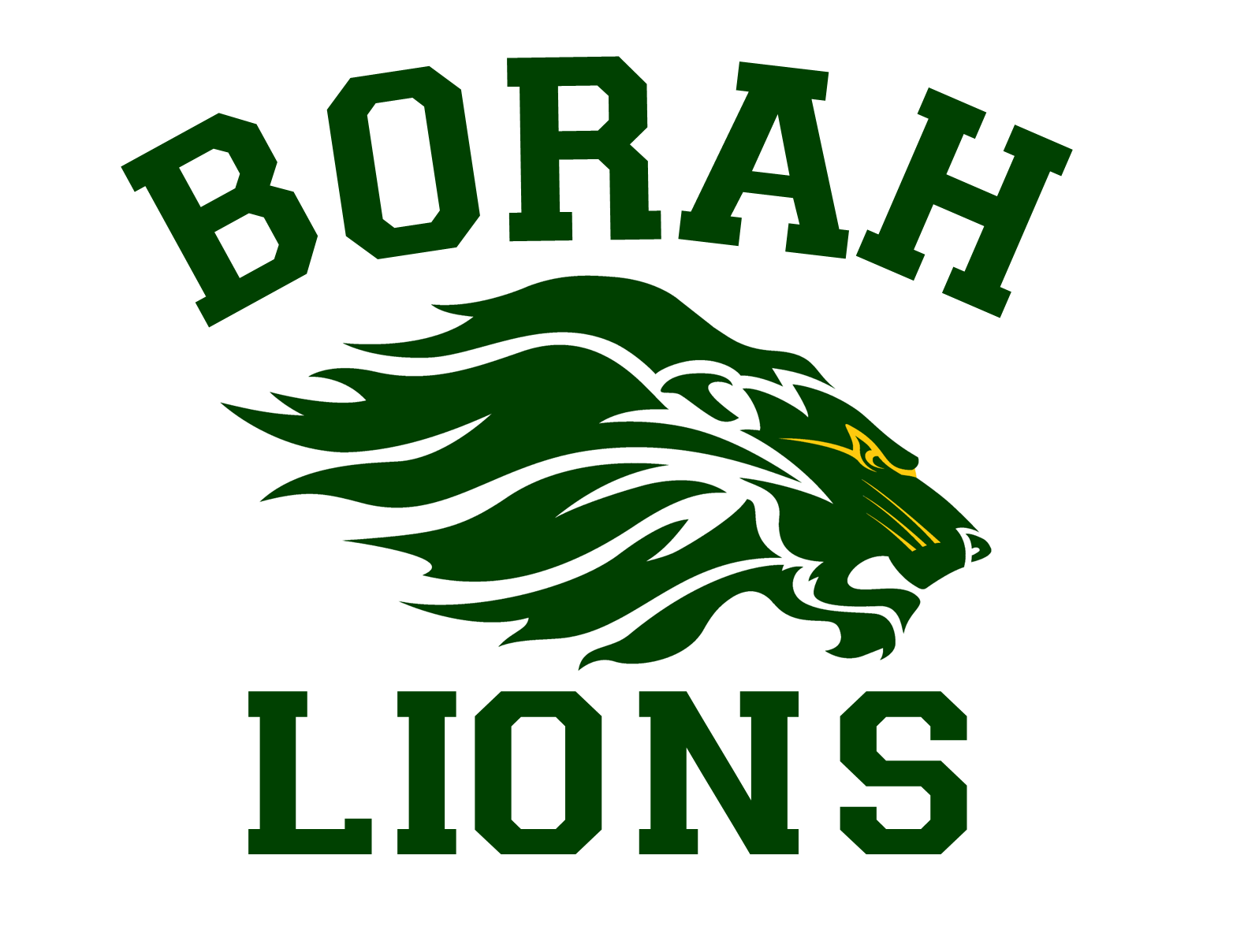 Borah High School 2024 Graduation