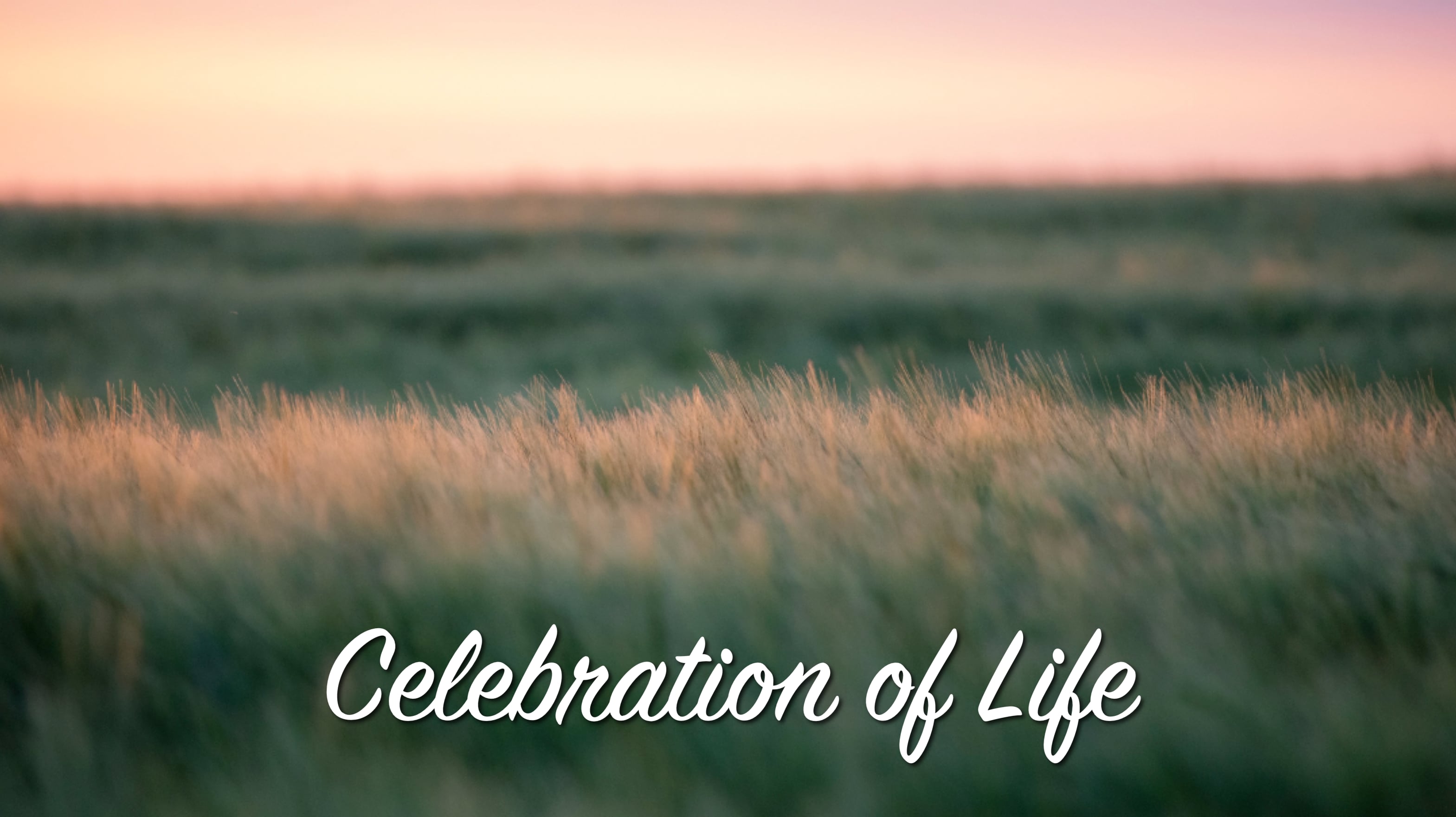 Givnish Life Celebration - kffki30