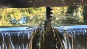 FLUID MOODS… being bipolar